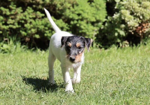 518204616_3696358397175730_2946414798464332297_n