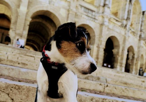 PHOTO-2025-10-07-12-32-38