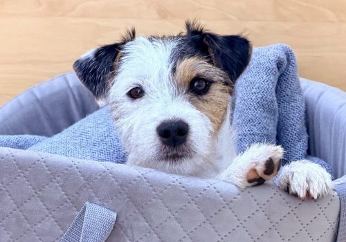 PHOTO-2025-10-31-11-20-40