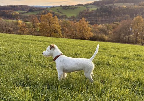 PHOTO-2025-11-13-09-25-48-3