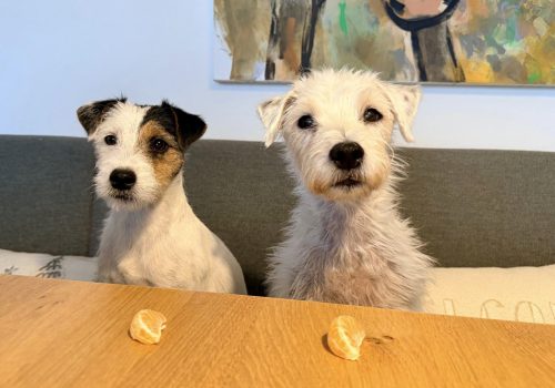 PHOTO-2025-12-20-08-49-43-2-2