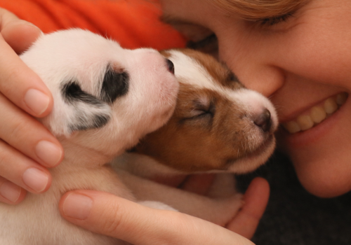 e0507952-2314-4604-98d4-b3656bb8a2f6